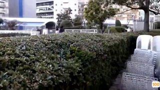 成人图来唐山参加婚礼的嫂子